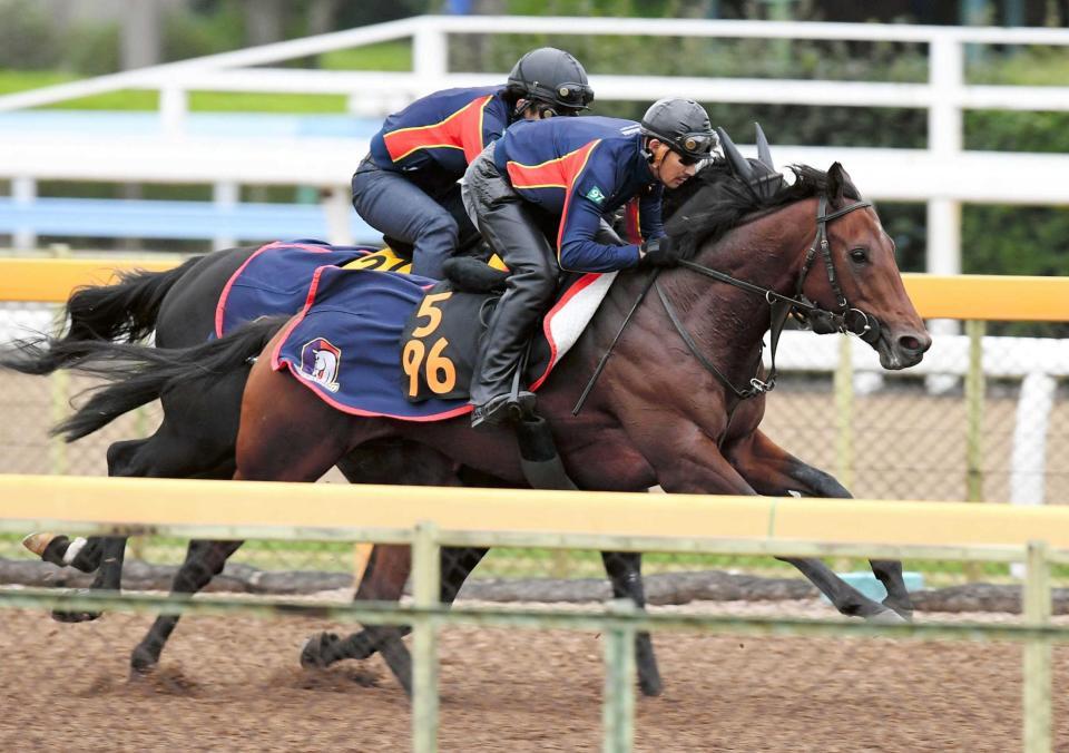 　無傷３連勝を目指すステルヴィオは上々の動きを披露（手前）