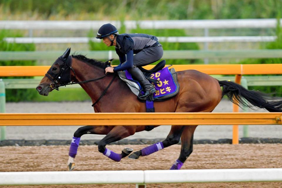 　栗東ＣＷでダービー馬の雰囲気を漂わせたマカヒキ