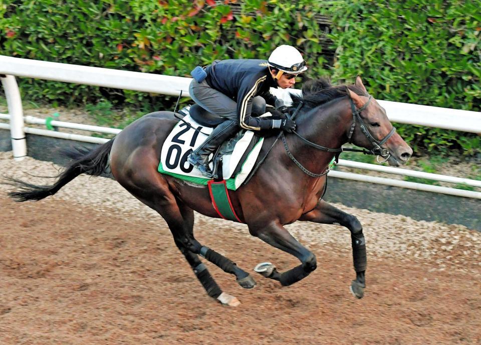 　和田を背に栗東坂路で超抜タイムを計時したミッキーロケット