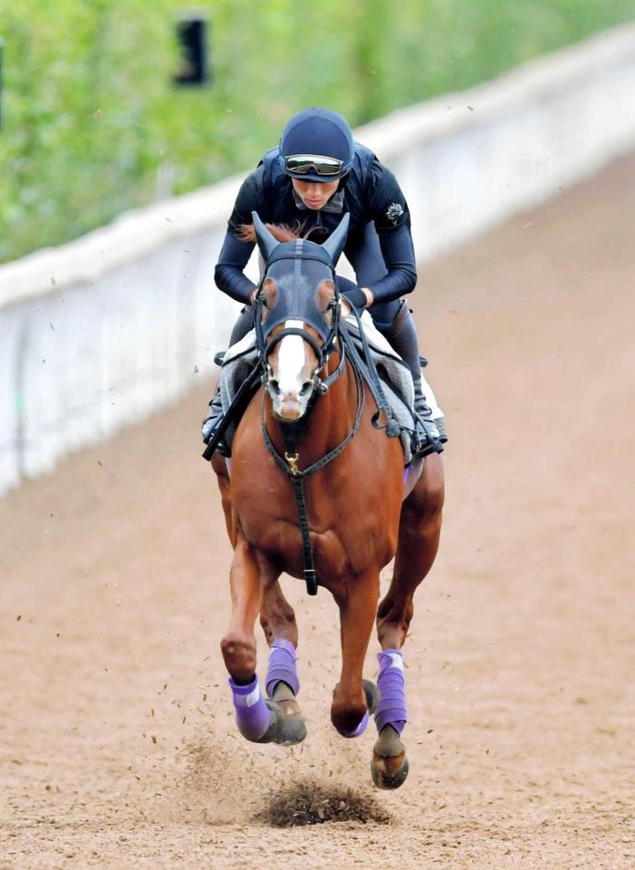 　実りの秋へ、栗東坂路で上々の動きを示したシュヴァルグラン