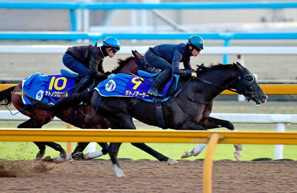 　栗東ＣＷでビシッと併せたサトノアーサー（手前）とサトノクロニクル