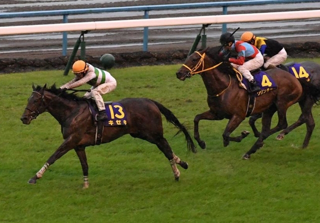 菊花賞】1番人気キセキが完勝 重賞初制覇をクラシックで決めた/競馬