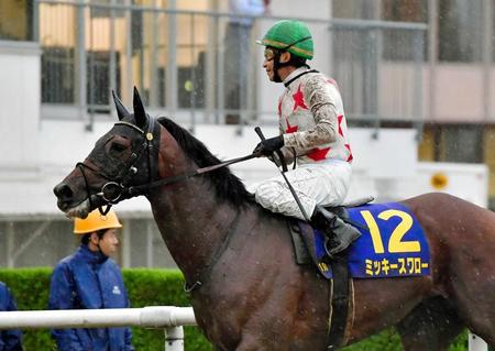 　６着に敗れたミッキースワロー