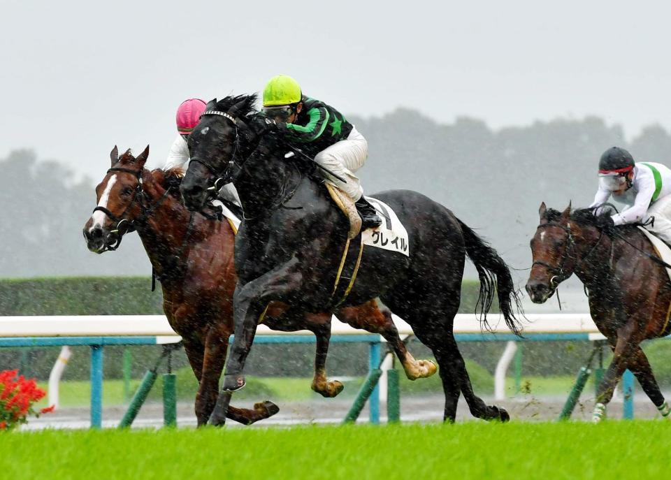 　不良馬場でもしっかりとした脚を見せ新馬戦を快勝したグレイル（中央）