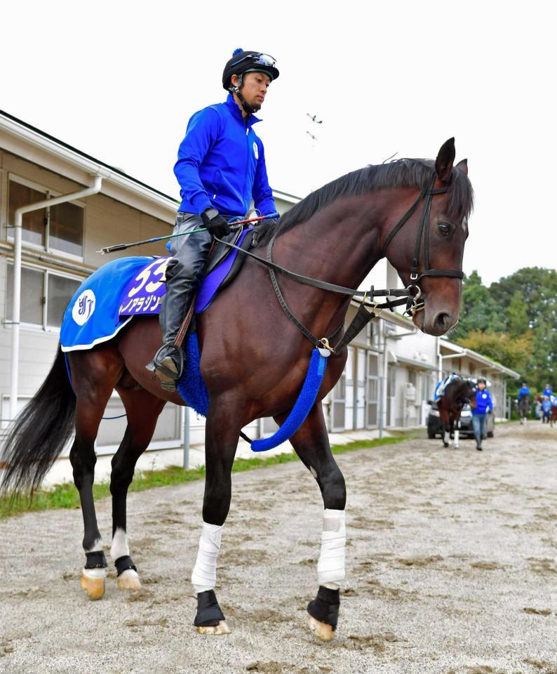 　６月の安田記念に続く２つ目のＧ１制覇を狙うサトノアラジン