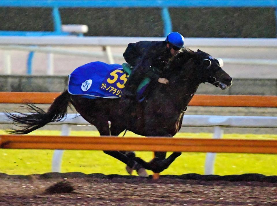 　川田を背に抜群の動きを見せたサトノアラジン