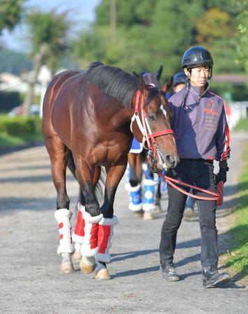 　毎日王冠覇者リアルスティール