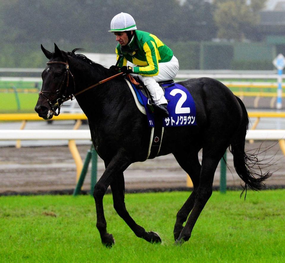 　キタサンブラックに首差まで迫るも２着に終わったサトノクラウン