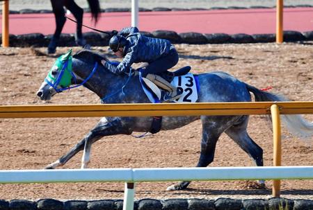 　うなるような動きを見せつけたテイエムジンソク