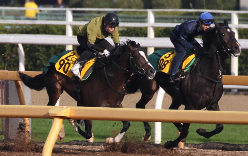 　美浦Ｗで十分に負荷をかけられたエピカリス（左）