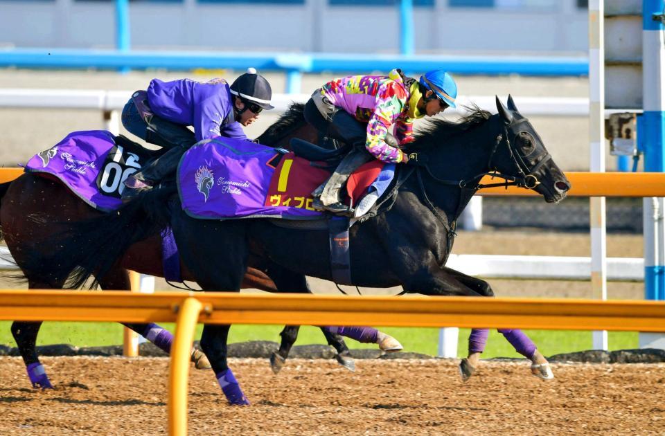 　長めからしっかり追われたヴィブロス