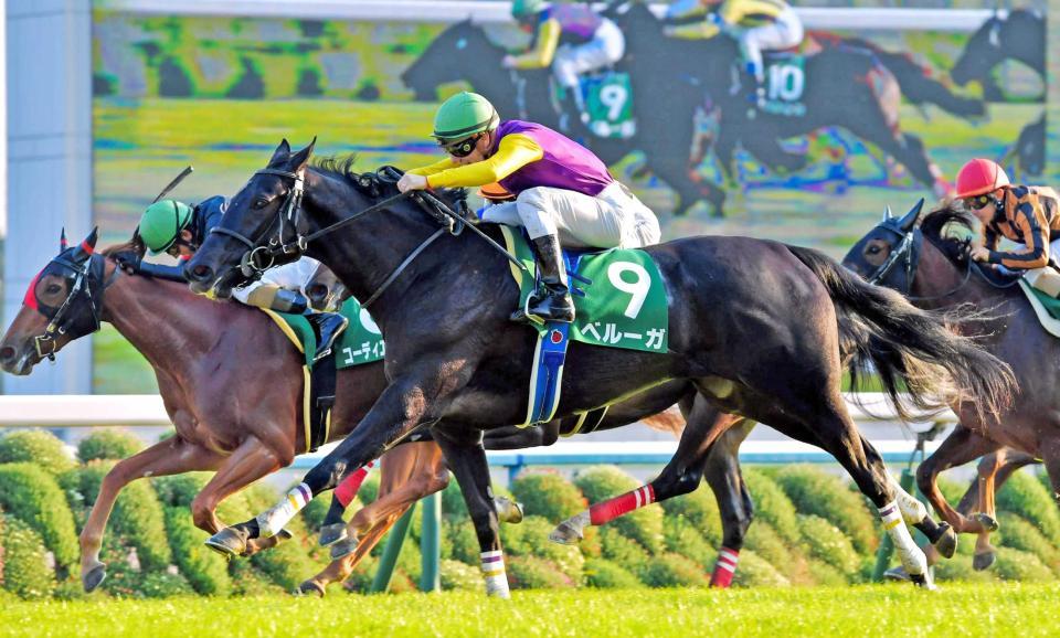 ファンタジーｓ ベルーガ２連勝で重賞初ｖ すごい瞬発力 ｃ デムーロ絶賛 競馬 レース デイリースポーツ Online