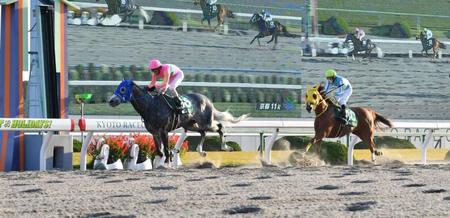 みやこステークスを制したテイエムジンソク＝京都競馬場（撮影・持木克友）