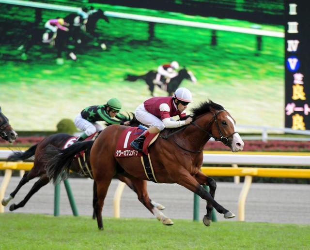 【京王杯２歳Ｓ】タワーオブロンドン あっさり差し切った　藤沢和師「強い内容」