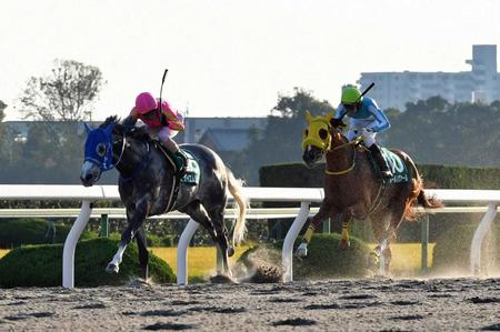 　スピードで圧倒したテイエムジンソク（左）