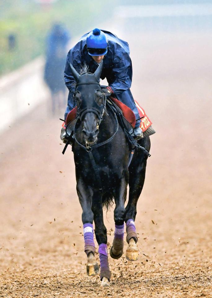 　ルメールを背に栗東坂路で負荷をかけられたヴィブロス（撮影・石湯恒介）