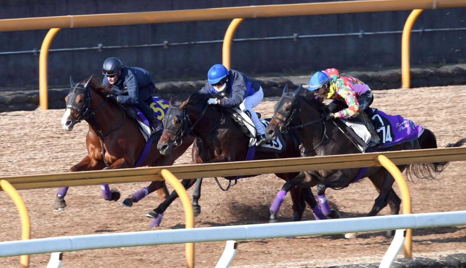 　Ｍ・デムーロを背に力強い動きを見せたシュヴァルグラン（左）