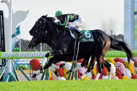 グレイル＝京都競馬場（撮影・石湯恒介）