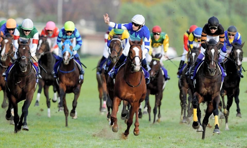 　ジャパンカップを制したシュヴァルグラン（中央）