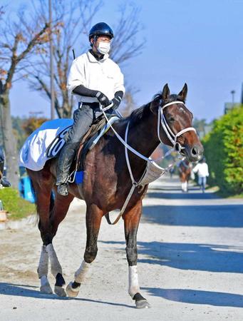 　新馬からの連勝を目指すダノンフォーチュン