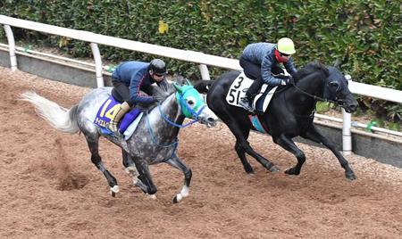 　勢いなら断然。Ｇ１初制覇へ態勢を整えたテイエムジンソク（左）
