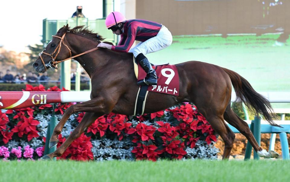 人気に応えステイヤーズＳ３連覇を果たしたアルバート＝中山競馬場