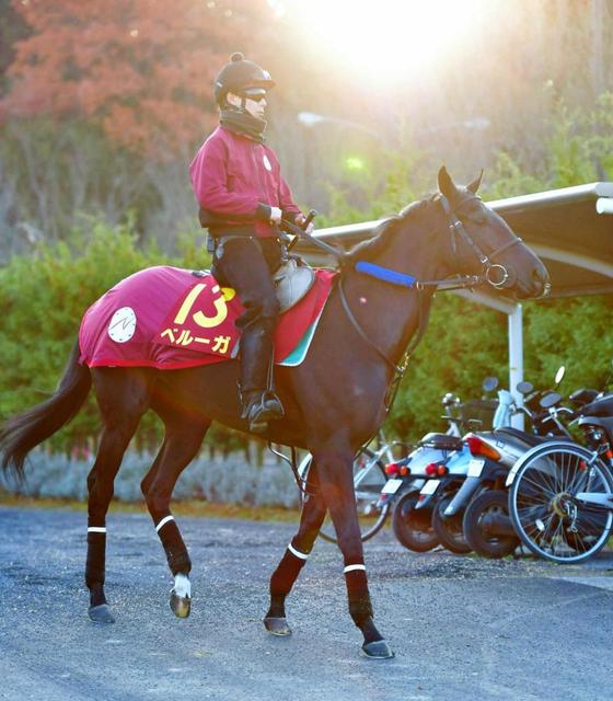 【阪神ＪＦ】ベルーガ初のマイルが鍵「馬の雰囲気はいい」