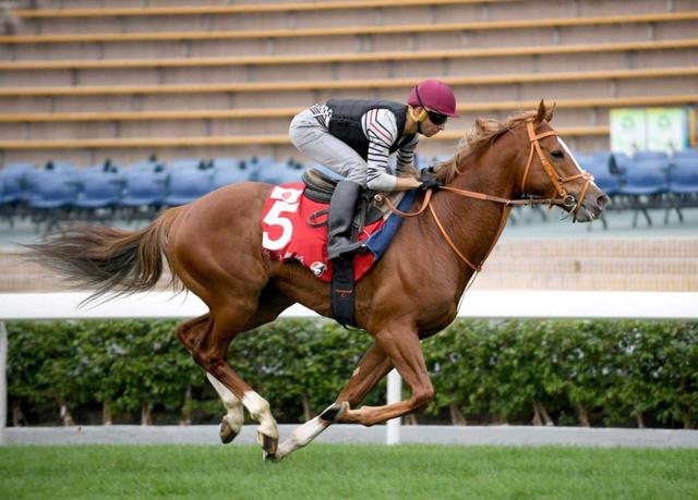 【香港Ｃ】ネオリアリズム人馬呼吸ピタリ 枠も理想の内