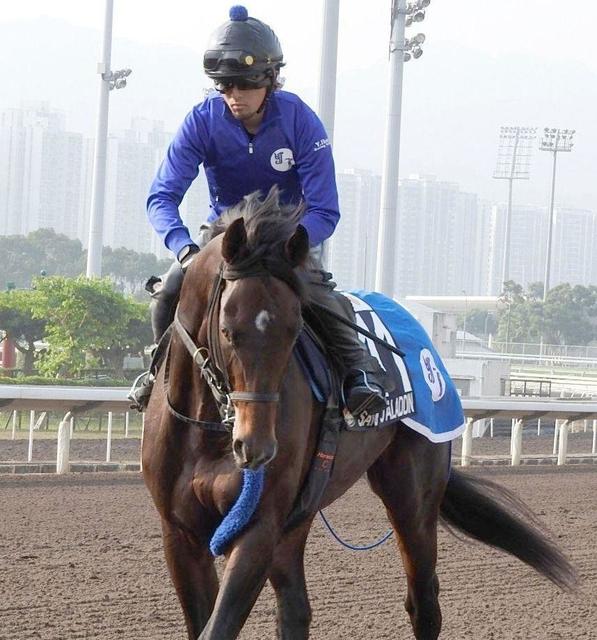 【香港マイル】サトノアラジン最高潮　池江師「悔い残さないよう攻めた」