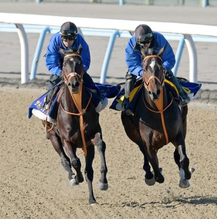 　名手ムーアとのコンビで有馬参戦が決まったサトノクラウン（左）