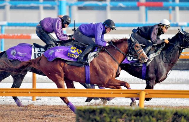 【有馬記念】シュヴァルグラン充実一途 好調アピール！ラスト１Ｆ１１秒６