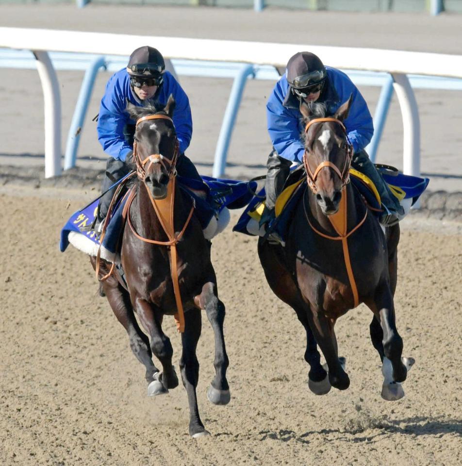 　名手ムーアとのコンビで有馬参戦が決まったサトノクラウン（左）