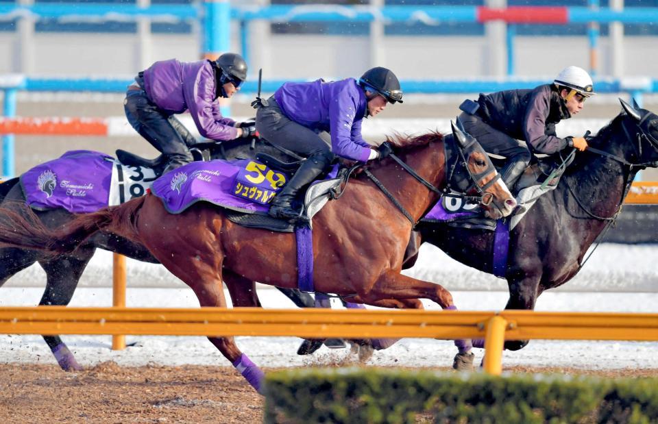 　栗東ＣＷで熱のこもった３頭併せを敢行したシュヴァルグラン（手前）