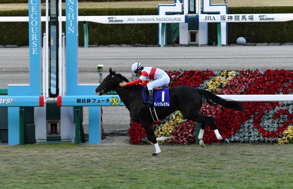 １１Ｒ２着以下を３馬身以上放し朝日杯ＦＳを制したダノンプレミアム＝阪神競馬場