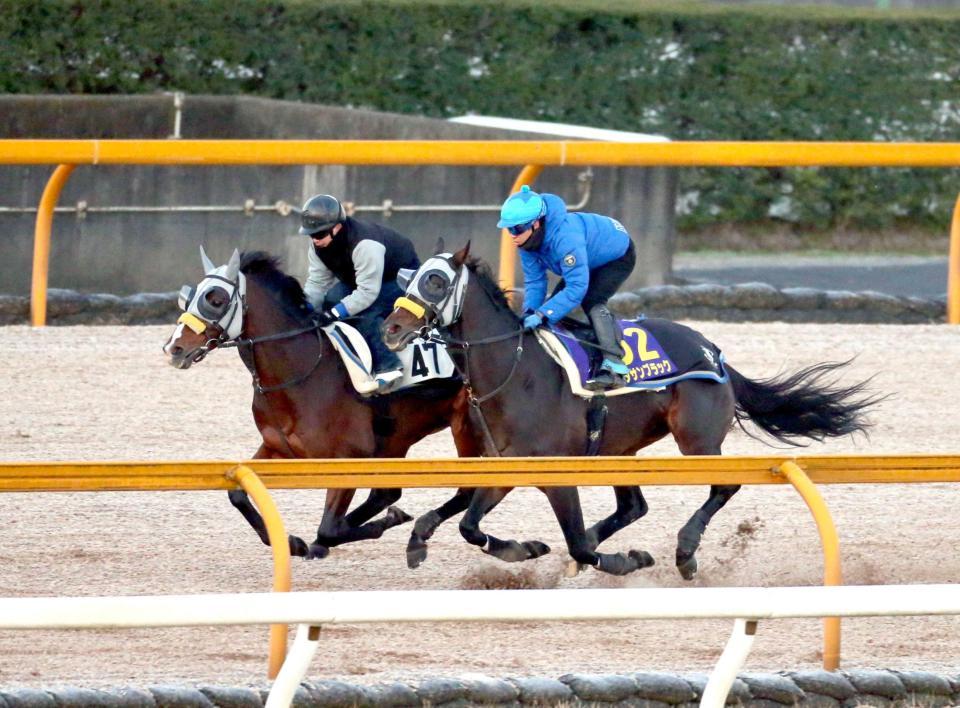 　栗東ＣＷで僚馬をとらえにかかるキタサンブラック（手前）