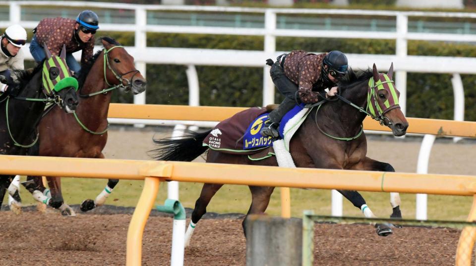 有馬記念 ルージュバック総合的に良し 重賞４勝のベテラン牝馬が一発を狙う 競馬 レース デイリースポーツ Online