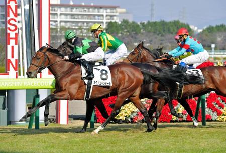 内に切れ込みながらも差し切って新馬勝ちを収めたキタノコマンドール＝栗東トレセン（撮影・石湯恒介）