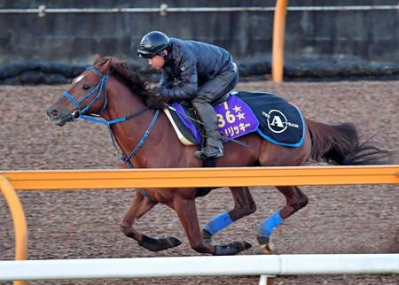 　栗東ＣＷで追い切ったコパノリッキー