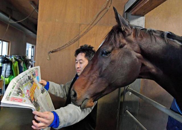 【写真】有馬Ｖを報じる新聞に見入るキタサンブラック