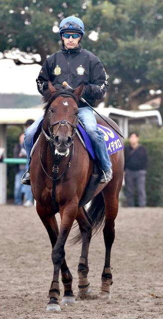 ダービー馬・レイデオロはドバイ遠征視野に　京都記念の結果次第