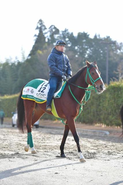 【中山金杯】デニムアンドルビー中間も好気配　明け８歳でもまだまだ輝きは失わず