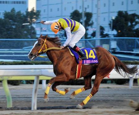 　的場文とのコンビでニシノラピートが鮮やかな逃げ切り勝ち