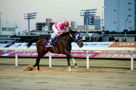 直線で力強く抜け出したディアドムス