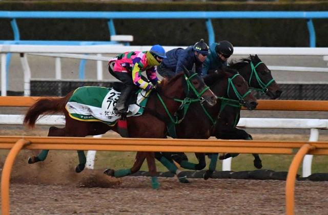 【京都金杯】ラビットラン気迫走　前走の敗戦で予定変更し参戦決断