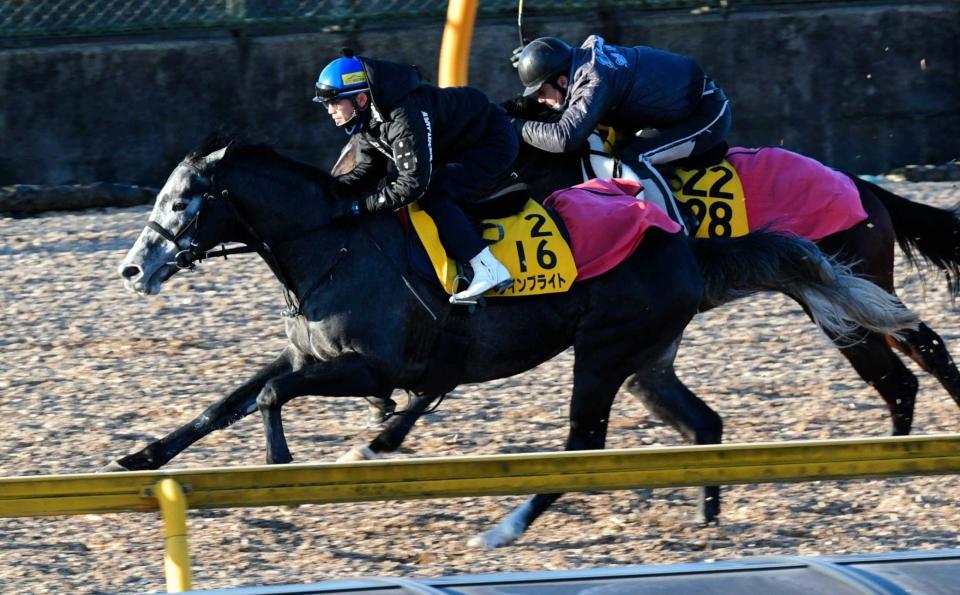 　松岡を背にウインブライト（左）は抜群の動きを見せた