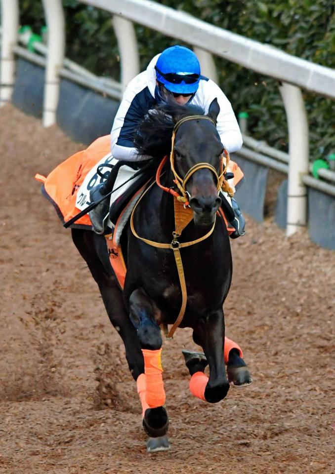 　瞬発力を見せつけたクルーガー