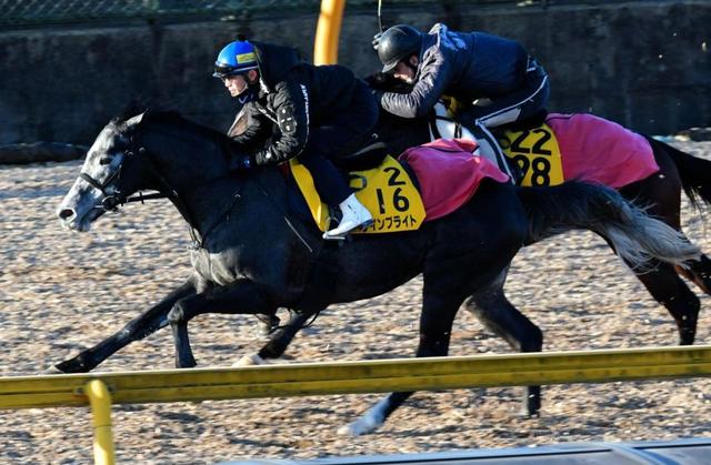 土曜中山の危険な人気馬