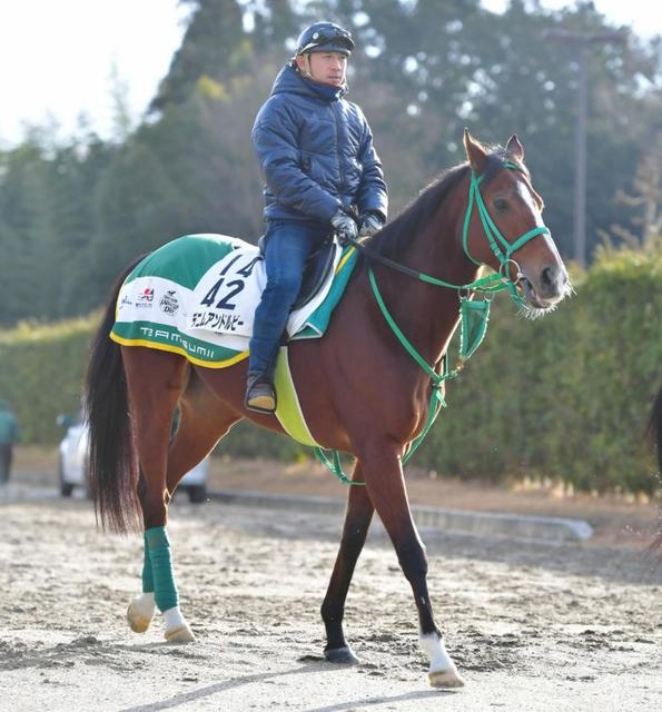 土曜中山“この馬は消さないで”…11Ｒ出走の実績馬　ベテランがもうひと花