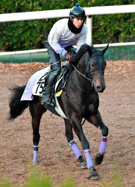 土曜京都の危険な人気馬