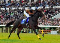 大勢のファンの前で惜別の走りを披露するキタサンブラック＝京都競馬場